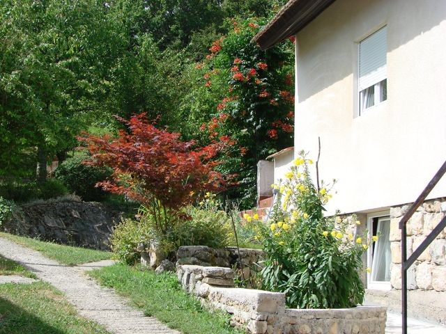 jasna, kuća i javor